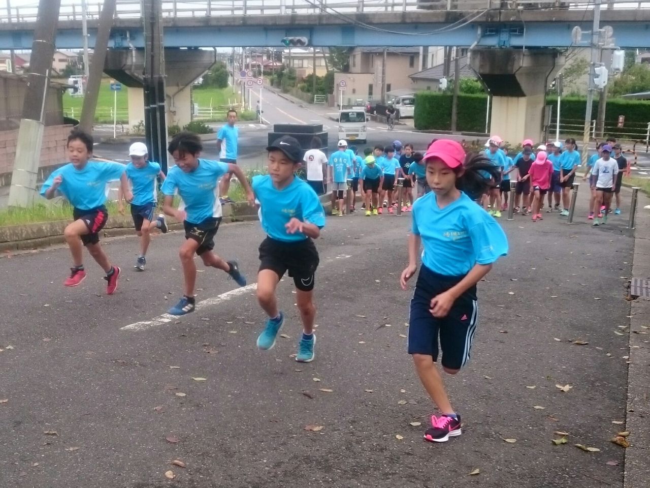 イメージ 17