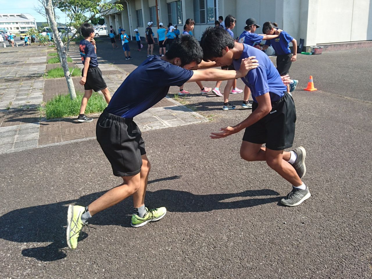 イメージ 19