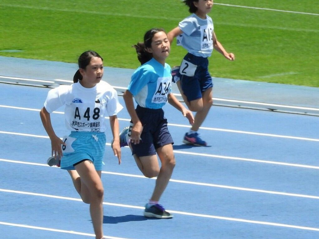 イメージ 12