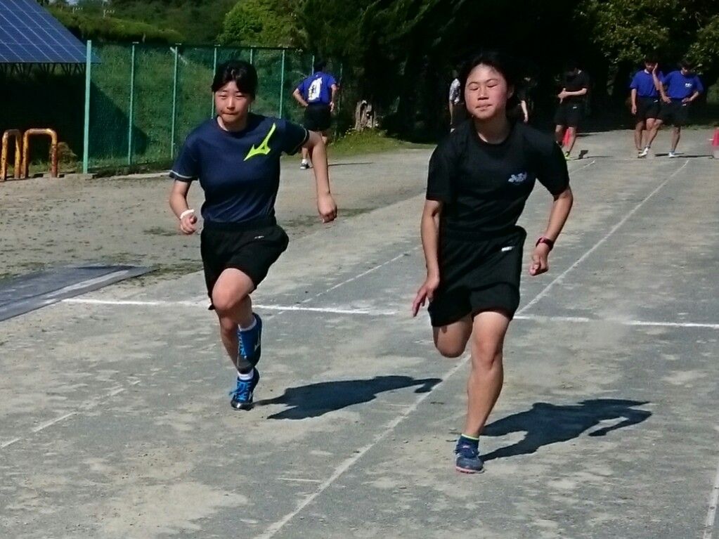 イメージ 51