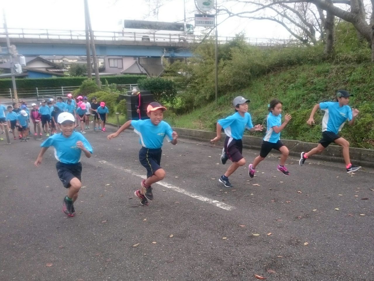 イメージ 8