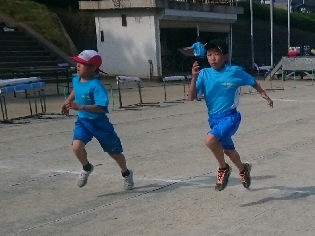 イメージ 14