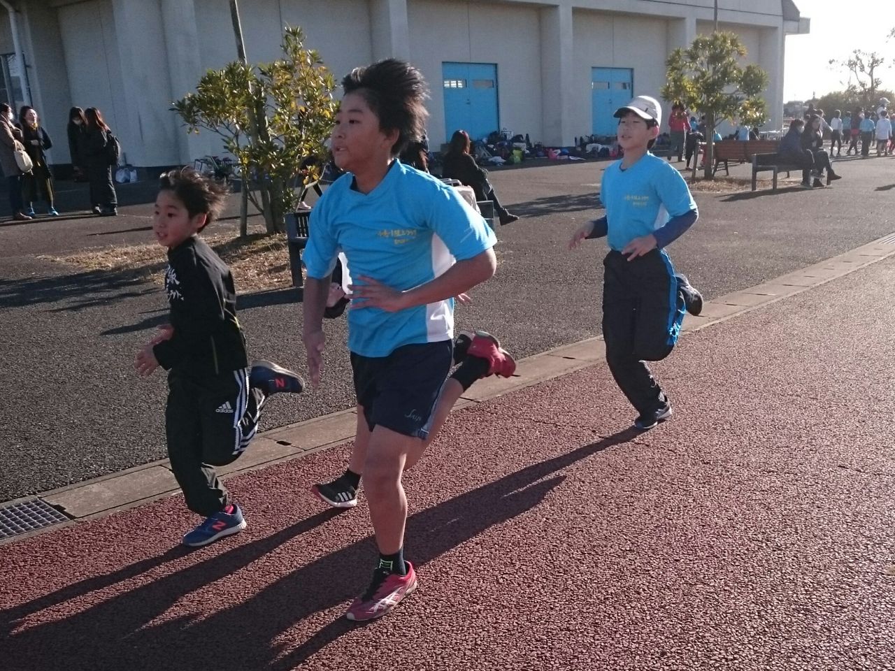 イメージ 6