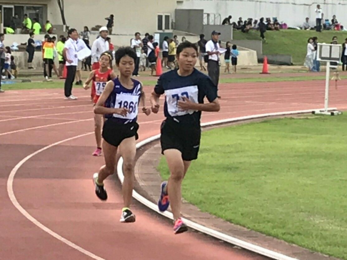 イメージ 14