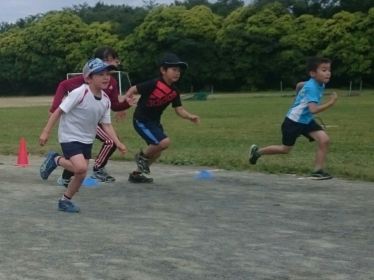 イメージ 8