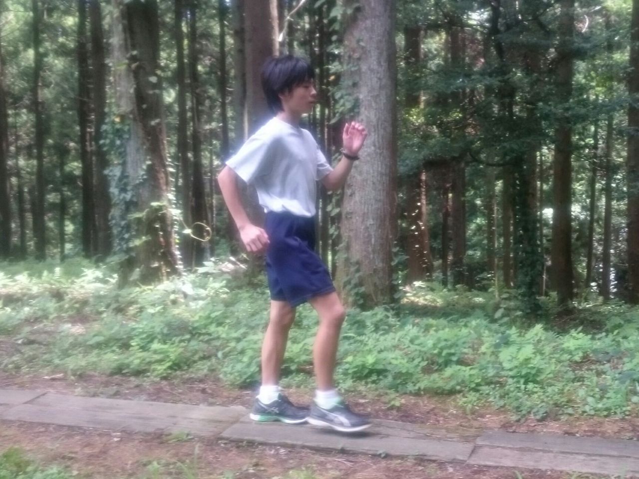 イメージ 19