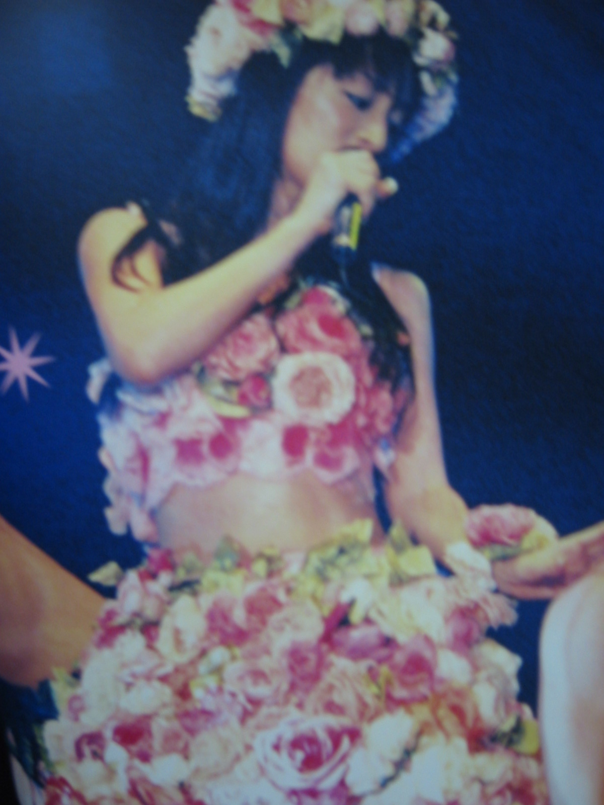 浜崎あゆみ ｌｉｖｅ ゆうのダイアリー