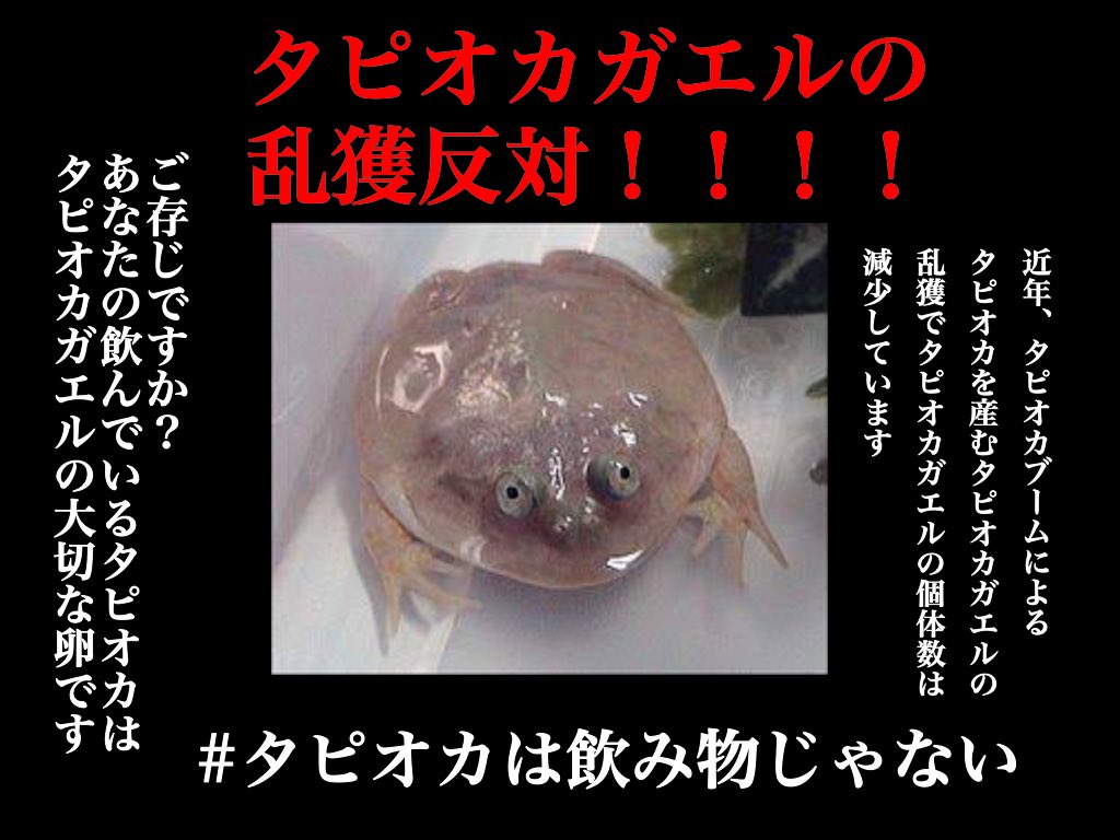 女って何でタピオカ好きなの?
