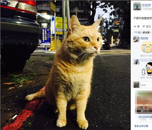 猫を虐殺した犯人、裁判所から出て来た所、猫好きに取り囲まれ虐待される