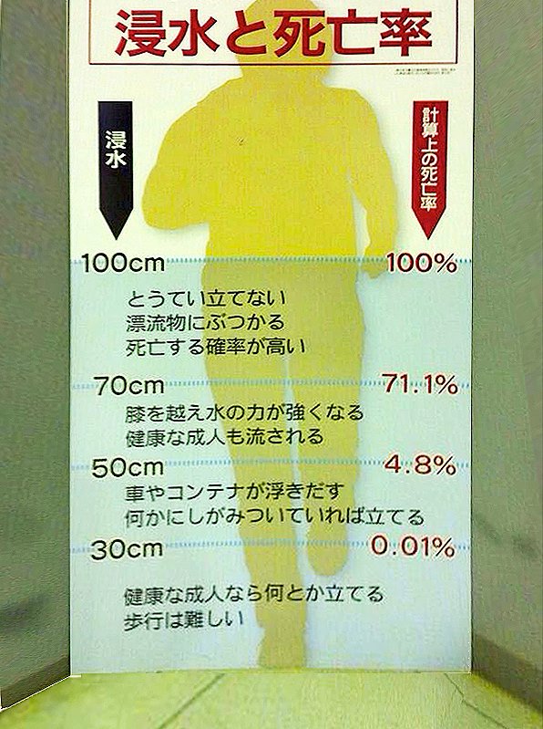 津波!早く逃げて! | 1mやろ?