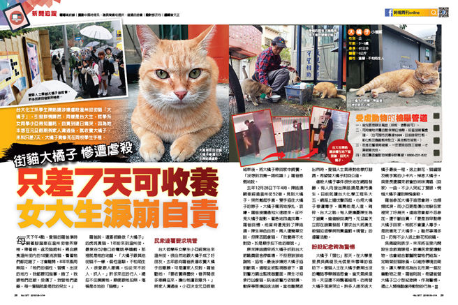 猫を虐殺した犯人、裁判所から出て来た所、猫好きに取り囲まれ虐待される