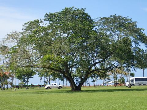 P8070904