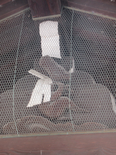 IMG_3780