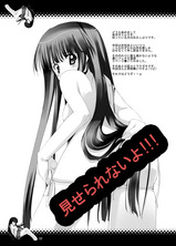 ���ɤ���Ϥ������Τǵ�����ä������Ƥ��������ޤ�����