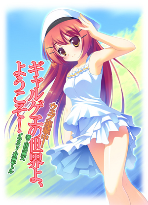 FB����饤��ˤ�Ϣ����