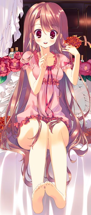 バインダー