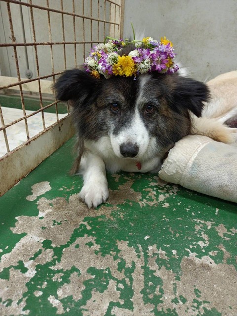834368a32bd75bb470a768