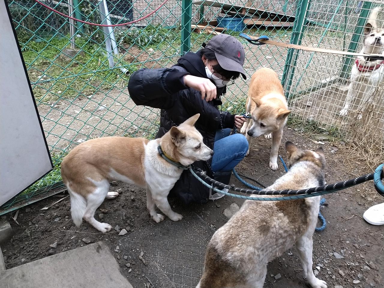稽古始め ＆ 保護犬の散歩 ⇒ 子犬・子猫の譲渡会 ⇒ 初詣 : 山口有永道場
