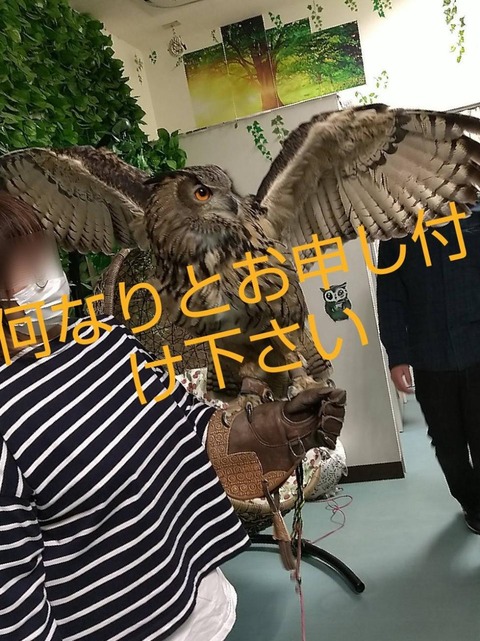 e8ff7f988db1c7813956795f2e4a83d5-1679806321491