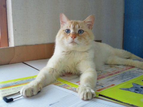 2012042612220000