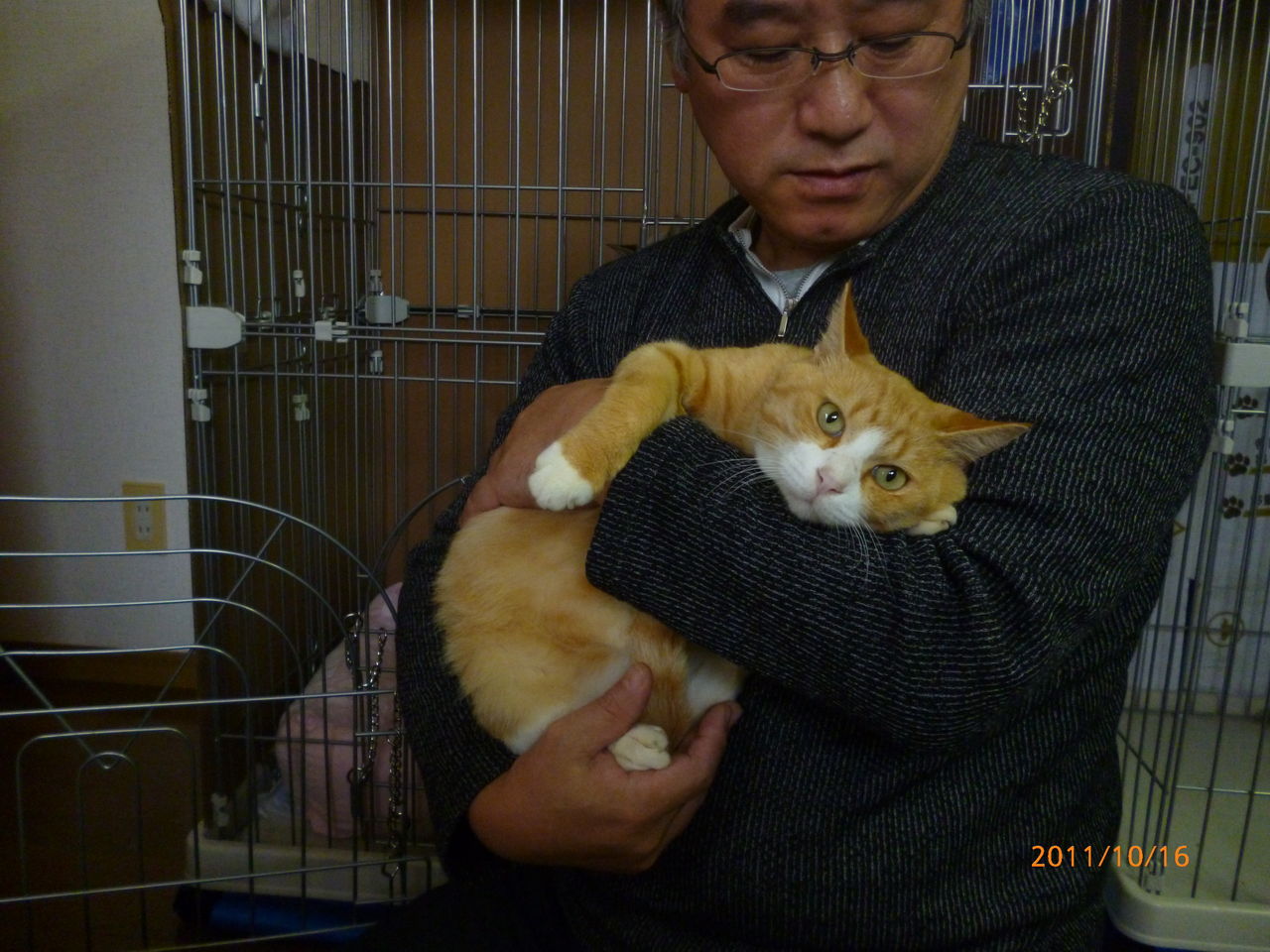 週末のにゃんこはうすとお願い事 ねこさま王国