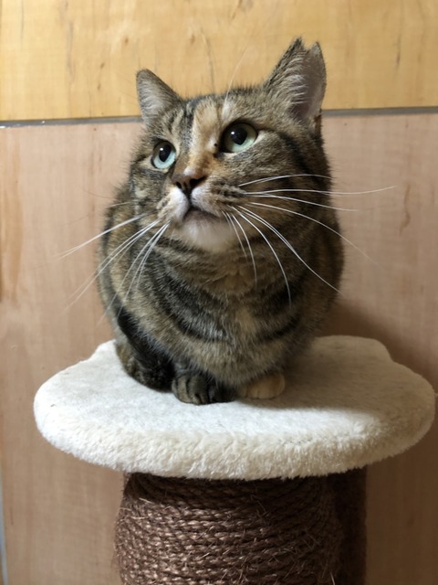 09051AE7-14ED-4A0D-8943-B76CC773E858