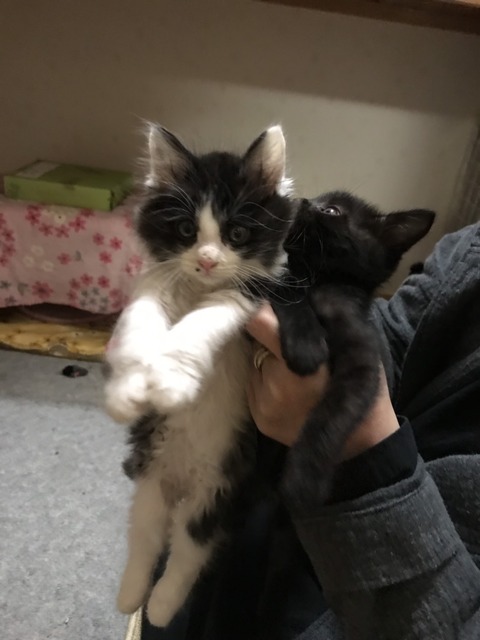 3CD8F9DC-0DF5-4738-9036-7BB0D604C95D