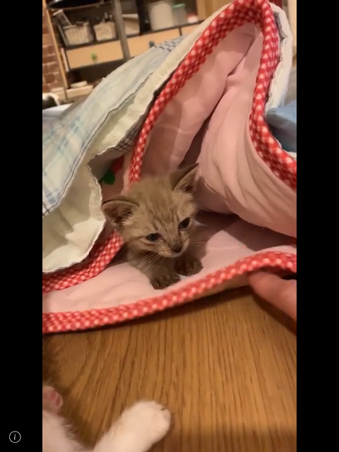 1DF1B856-0290-4BF5-9AC6-DD0A1566CDB5