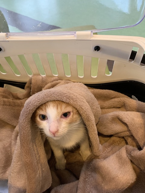 6ACB437A-BEB8-4611-9406-956D68D8EE21