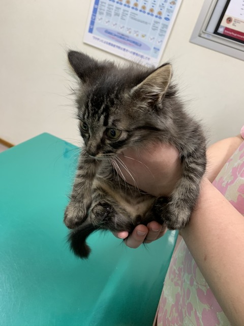 1AE8CD08-C28A-421C-9B78-056F7EF04C09