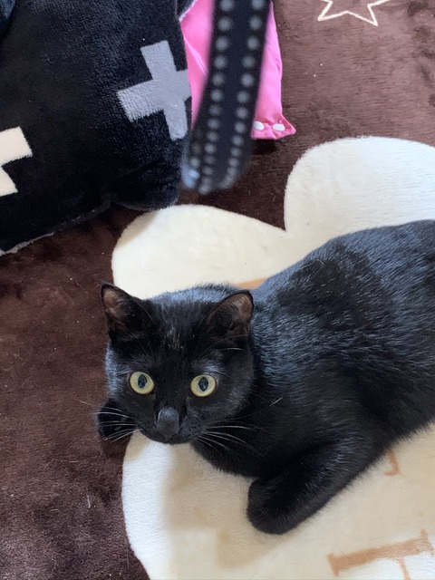 29BF5723-6027-49AD-B731-2496290C305F