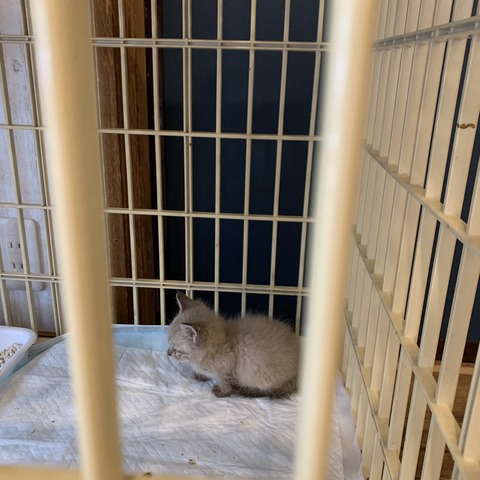 803CBEA8-33F7-4D44-A316-0C9B30096B03