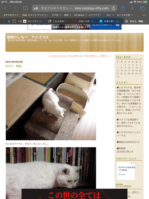 ねこさま王国 ねこさま王国