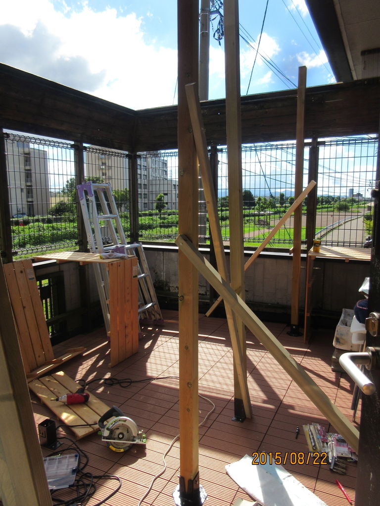 猫ベランダと預かりさん宅の保護部屋作り ねこさま王国