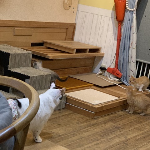 0D782120-E0A0-430A-92DA-4AE45081786F