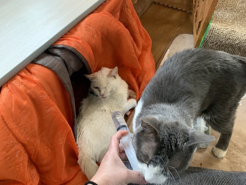 1754F5F0-673A-4B9A-BA02-1CB85C84FD7F