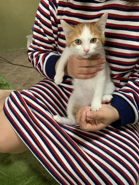 E4BE2AEC-016F-4682-9490-C81C87837DAF