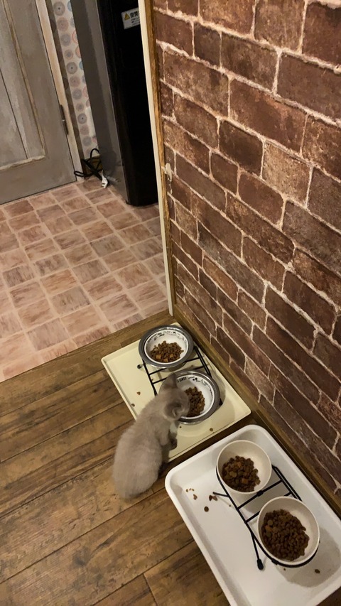 7149C22B-8378-4012-A72B-777DCE31F7EB