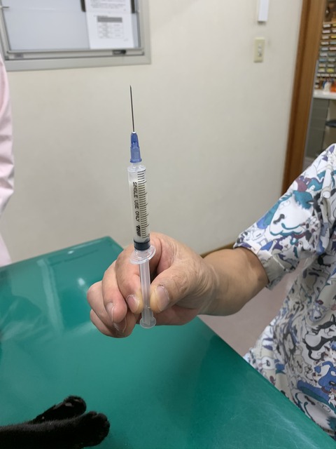 D252AE76-EB9B-488A-A78D-F5A1D75D2AFA