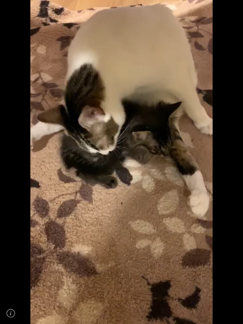 1839A13E-DF12-44F0-B79B-E2687A718680