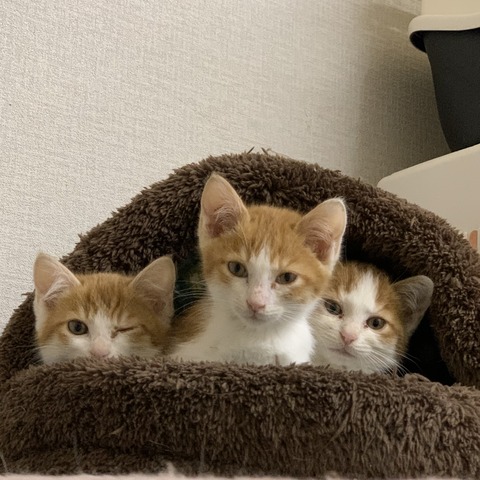 D07BC191-9A07-45AD-BC99-14FA6902648C