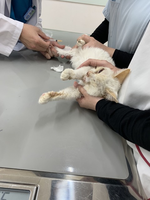 B13440CE-2274-4661-903F-737C13AA2142