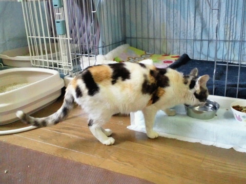 2012042611400001 (1)