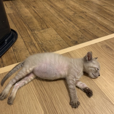 A0B7F2A0-1B0A-4271-8F66-30AE03B000CC