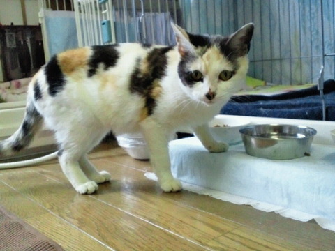 2012042611410000