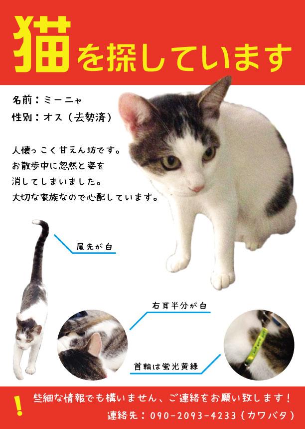 迷子の捜索 ねこさま王国
