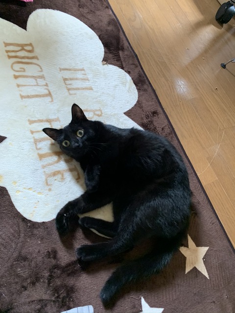 A965E8D4-2482-4722-A1DA-14EE177FCDE3