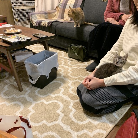 30CED25D-B0DC-4FFA-880B-6B5EE400098F