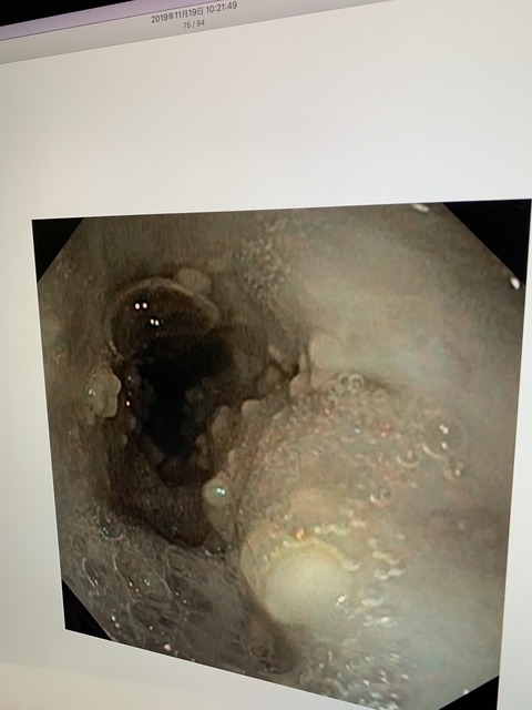 699D9CA8-8827-4F6B-97A3-0CD732C3A080