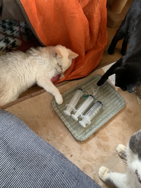 9AC5685D-9A41-473B-8448-402B3EA35E93